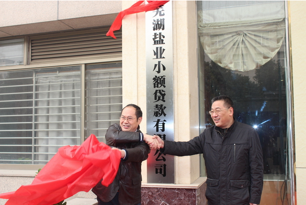 芜湖J9集团幼额贷款有限公司12月26日进行开业庆典