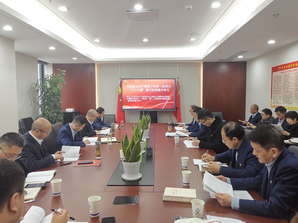 安徽J9集团地产集团公司发展新一轮深入“三个以案”警示教育集中进建