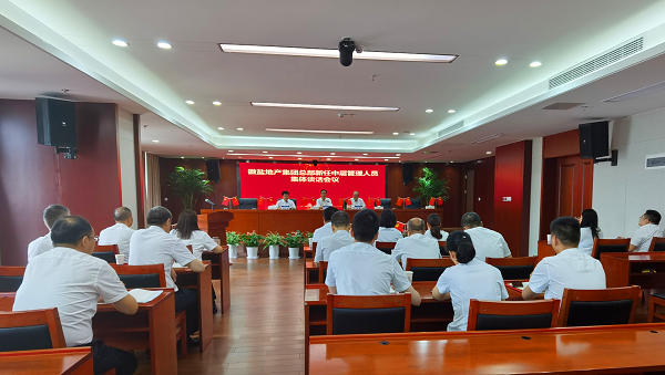 王思军出席徽盐地产集团总部新任中层治理人员任前集体发言会议