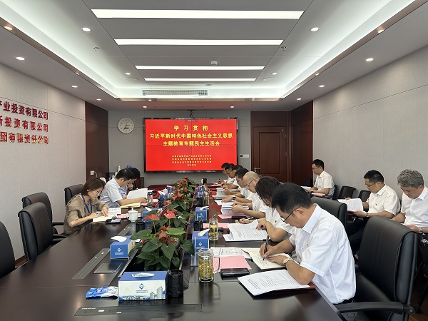 安徽J9集团地产集团等三家公司党委召开进建贯彻习近平新时期中国特色社会主义思想主题教育专题民主生涯会