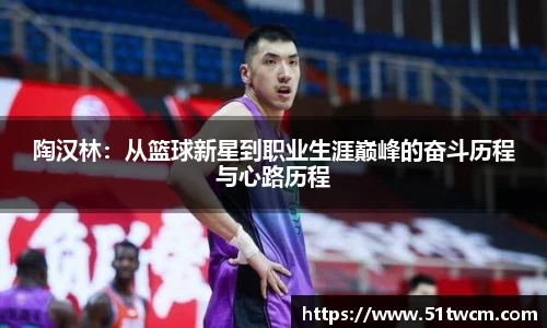 陶汉林：从篮球新星到职业生涯巅峰的奋斗历程与心路历程